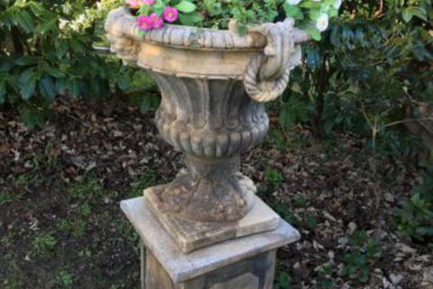 Clubbe Cottage - South Australia Travel 6