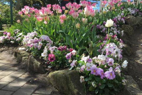 Clubbe Cottage - South Australia Travel 2