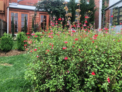 The Shopkeepers Quarters - South Australia Travel 6