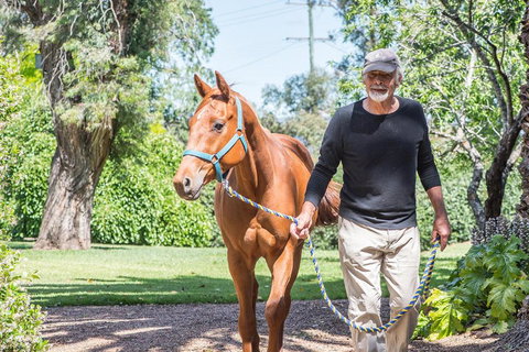 Russley Rural Retreat - South Australia Travel 3
