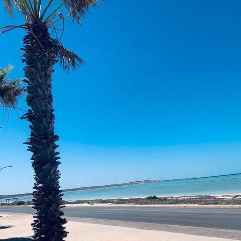 Bay Lodge - South Australia Travel 2