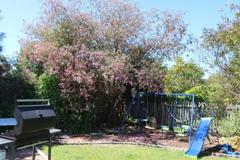 Sisters Beach Paradise - South Australia Travel 3