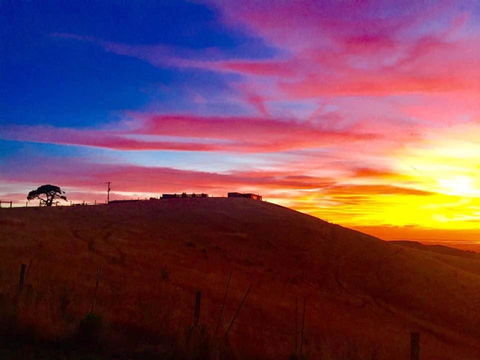 One Tree Hill - South Australia Travel 1