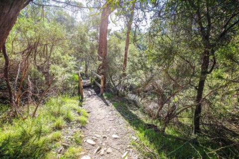 Northern Exposure - South Australia Travel 7