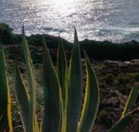 Ven  Marks Place - South Australia Travel