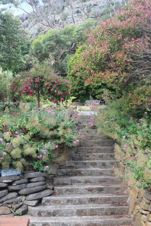 Gardenia House - South Australia Travel 2