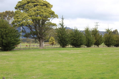 Tiny Cradle At The Good Place - South Australia Travel 5