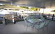 62 Tingira Close Modern Lowset Home With Swimming Pool Outdoor Area Ample Parking. Pet Friendly - thumb 2