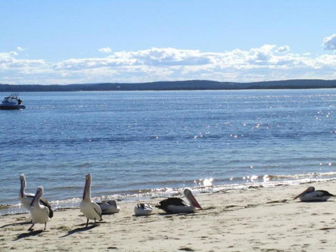 23 Bay Parklands 2 Gowrie Avenue Little Beach Air Con Pool & Tennis Court - South Australia Travel 2