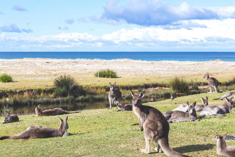 Retro Beach Cottage 681 Murramarang Rd - South Australia Travel 1