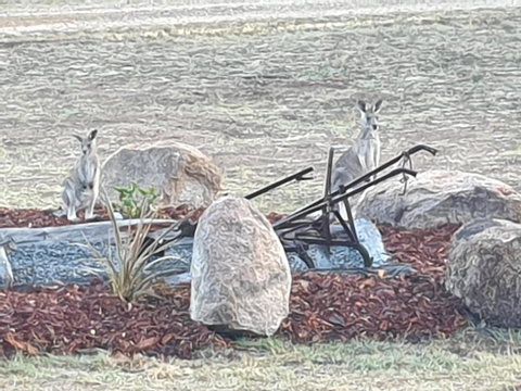 R & R On The Ravine - South Australia Travel 5