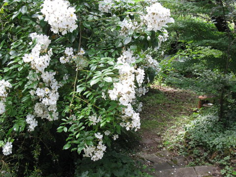 RiverCottage Selfcontained - South Australia Travel 4