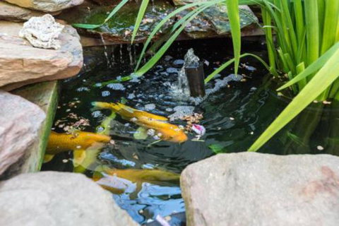 ULTRA SPACIOUS STYLISH HOME In PRESTONS SYDNEY - South Australia Travel 3