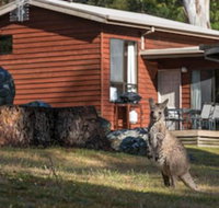 Wonderland Cottages - South Australia Travel