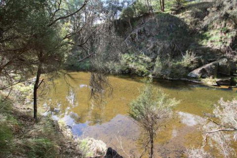 Alpine Streamside - South Australia Travel 3
