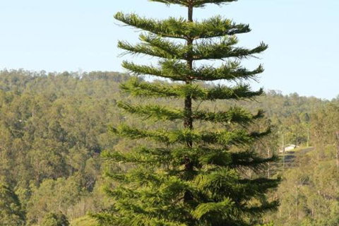 KooralBnB - South Australia Travel 3