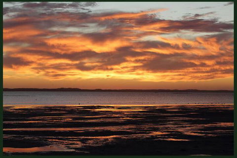 Gumnut Getaway BnB - South Australia Travel 4