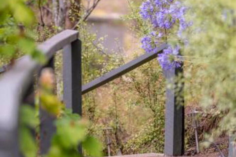 In The Valley - South Australia Travel 5