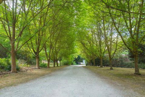 In The Valley - South Australia Travel 6