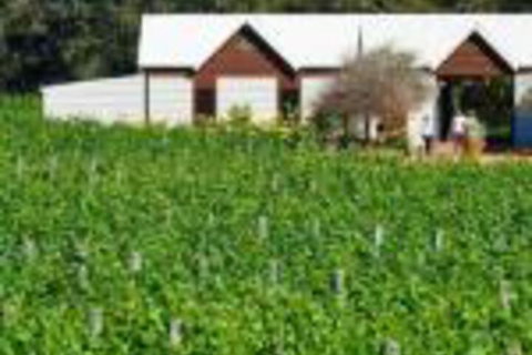 Upper Reach Spa Cottage - South Australia Travel 0