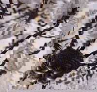 Discover Classic Rocks - South Australia Travel