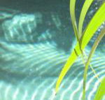 Artizen - South Australia Travel