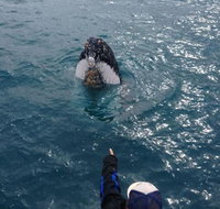 Number 72 Kalbarri Beach Resort - South Australia Travel