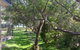 36 Bay Parklands 2 Gowrie Avenue Close To The Water With Pool & Spa & Tennis Court - thumb 3