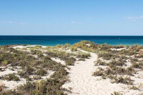 Salty Dayz - South Australia Travel 3