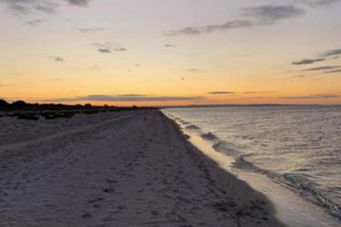 Salty Dayz - South Australia Travel 5