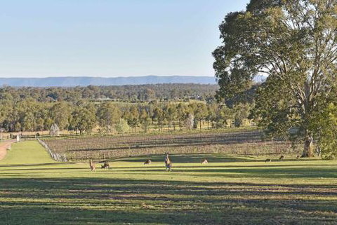 Sandalyn Estate Hunter Valley - South Australia Travel 3