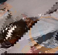 City Heart Motel - South Australia Travel