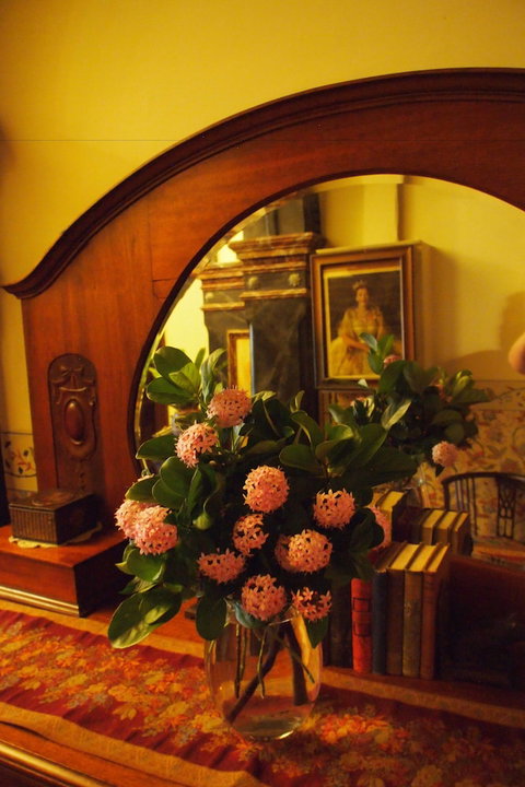 Vacy Hall Toowoomba's Grand Boutique Hotel - South Australia Travel 6