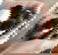 Margaret River Hideaway - South Australia Travel