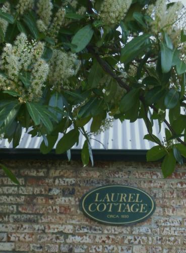 Laurel Cottage - South Australia Travel 1