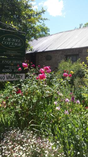 Laurel Cottage - South Australia Travel 5