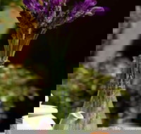 At Eleven - South Australia Travel