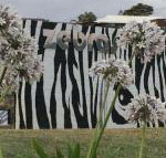 Zebras Guest House - South Australia Travel