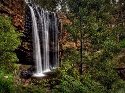 Hudson On Wombat - South Australia Travel 3
