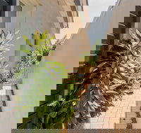 The Palm House Bondi - South Australia Travel