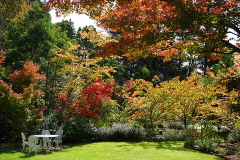 Wimbeldon - South Australia Travel 4