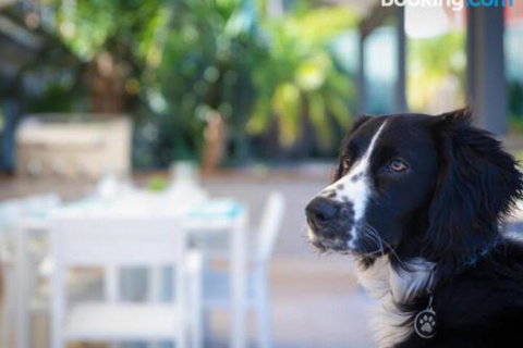 Bay Dream Believer 16 Verona Road Pet Friendly Boat Parking & WIFI - South Australia Travel 4