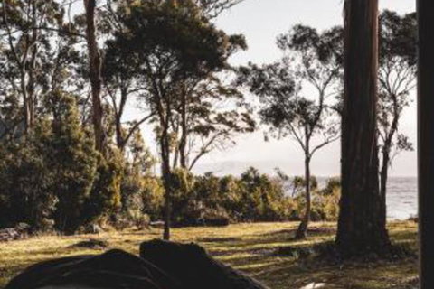 Seagrass On Sunset Bay - South Australia Travel 2