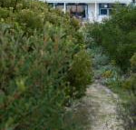 Polperro a quintessential seaside experience - South Australia Travel