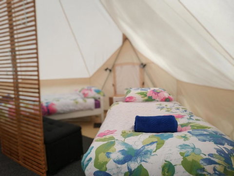 Glamping At Zeehan Bush Camp - South Australia Travel 6