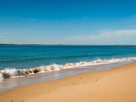 Left At The Penguins - South Australia Travel 1