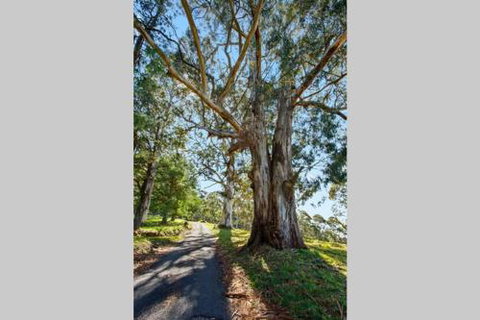 WOOLWAY - South Australia Travel 2