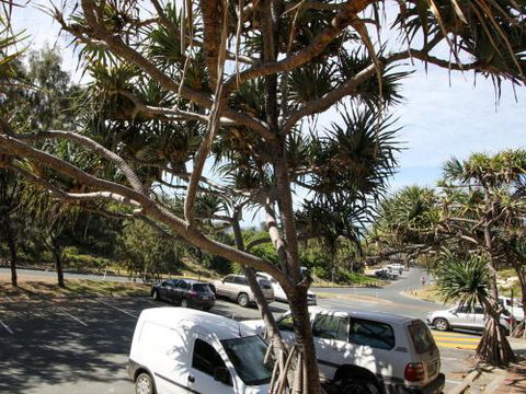 Studio 9 - South Australia Travel 6