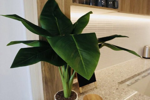 Homely Apartments In Southbank - South Australia Travel 1