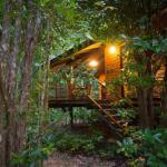 Wildwood - South Australia Travel 0